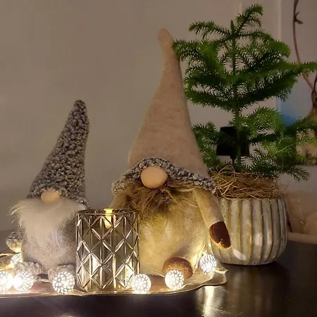 Arctic Luxury 公寓 *